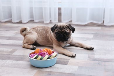 Photo of Cute little pug lying near bowl with organic food at home