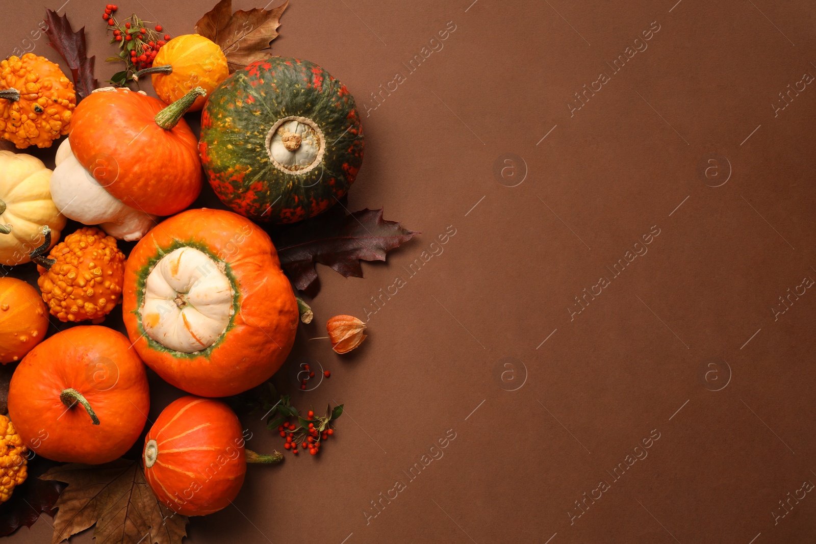 Photo of Flat lay composition with different ripe pumpkins on brown background. Space for text