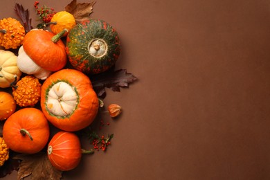 Flat lay composition with different ripe pumpkins on brown background. Space for text