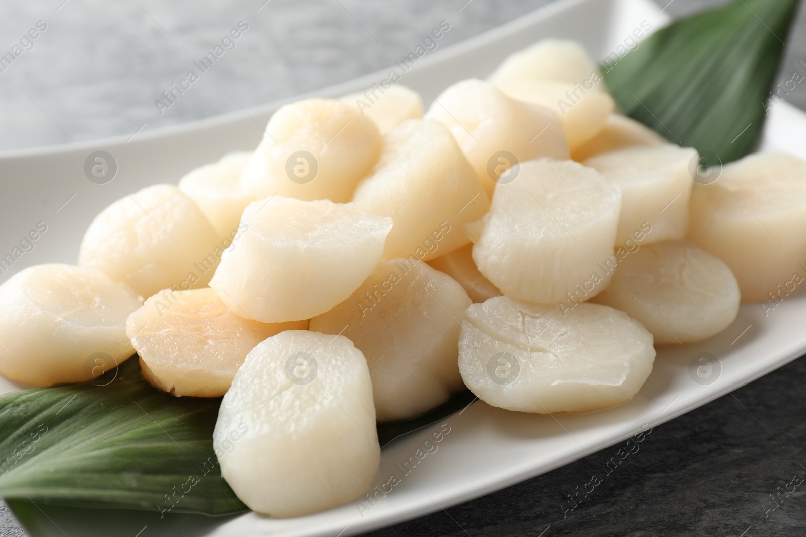 Photo of Fresh raw scallops on grey table, closeup