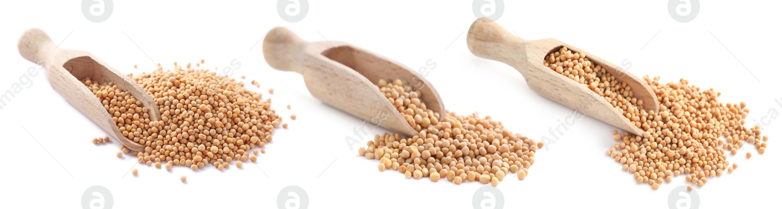 Image of Set with mustard seeds on white background. Banner design 