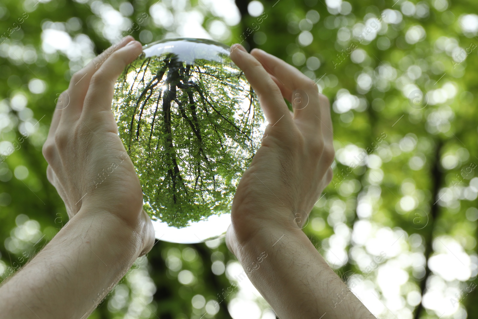 Photo of Beautiful green trees outdoors, overturned reflection. Man holding crystal ball in park, closeup