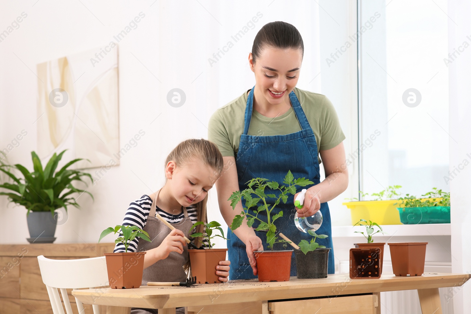 Photo of Mother and daughter taking care of seedlings in pots together at wooden table in room