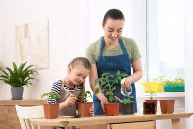 Photo of Mother and daughter taking care of seedlings in pots together at wooden table in room