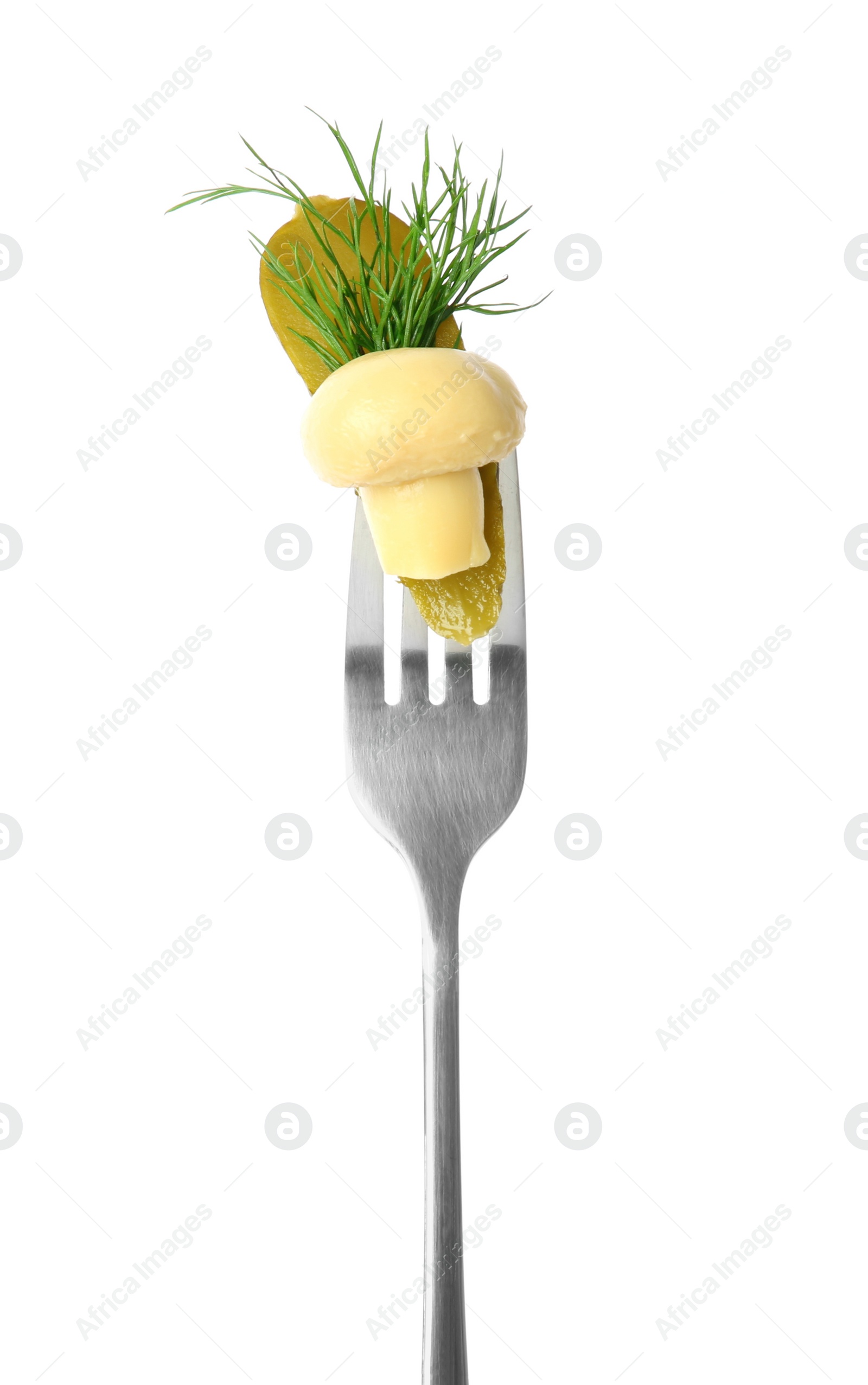 Photo of Fork with tasty pickled cucumber, mushroom and dill isolated on white