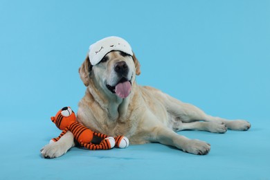 Cute Labrador Retriever with sleep mask and crocheted tiger resting on light blue background