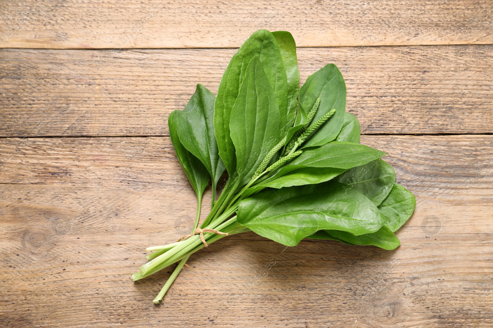 Photo of Broadleaf plantain leaves and seeds on wooden table, top view