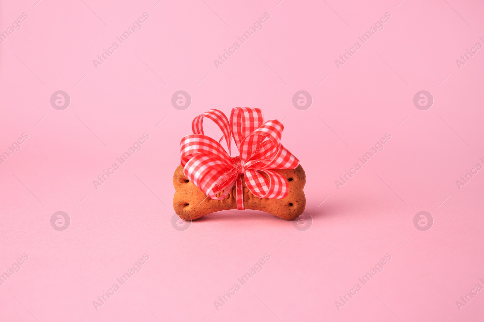 Photo of Bone shaped dog cookie with bright bow on pink background