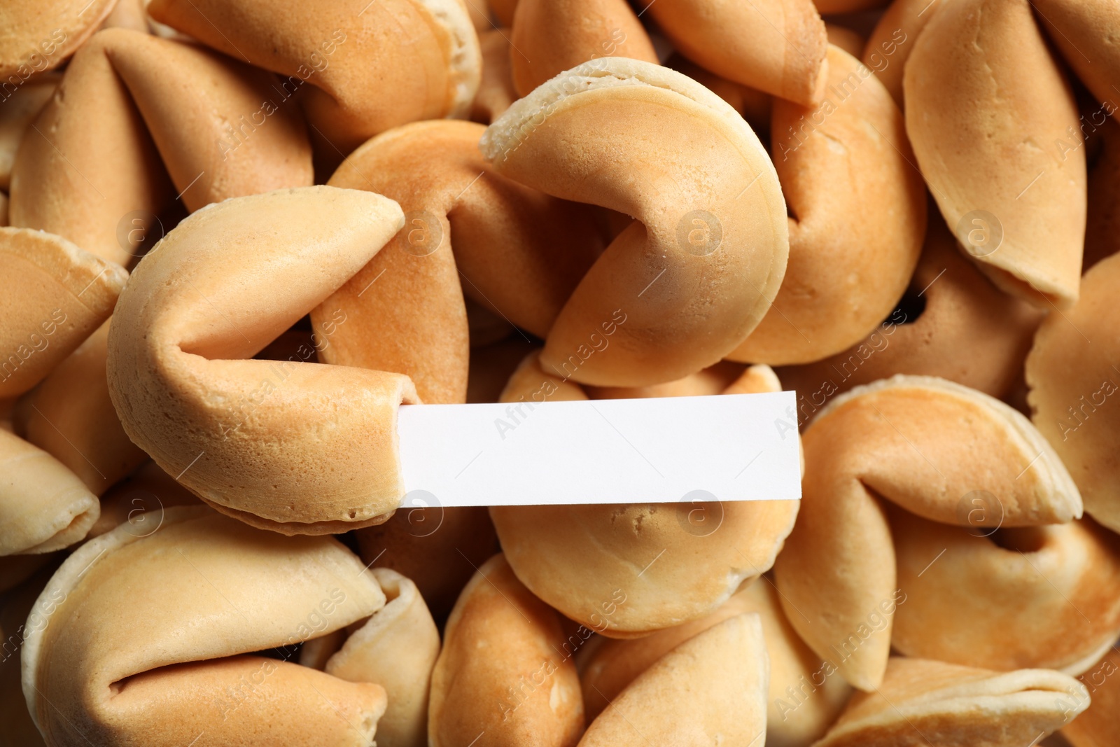 Photo of Fortune cookie with prediction on pile of biscuits, closeup