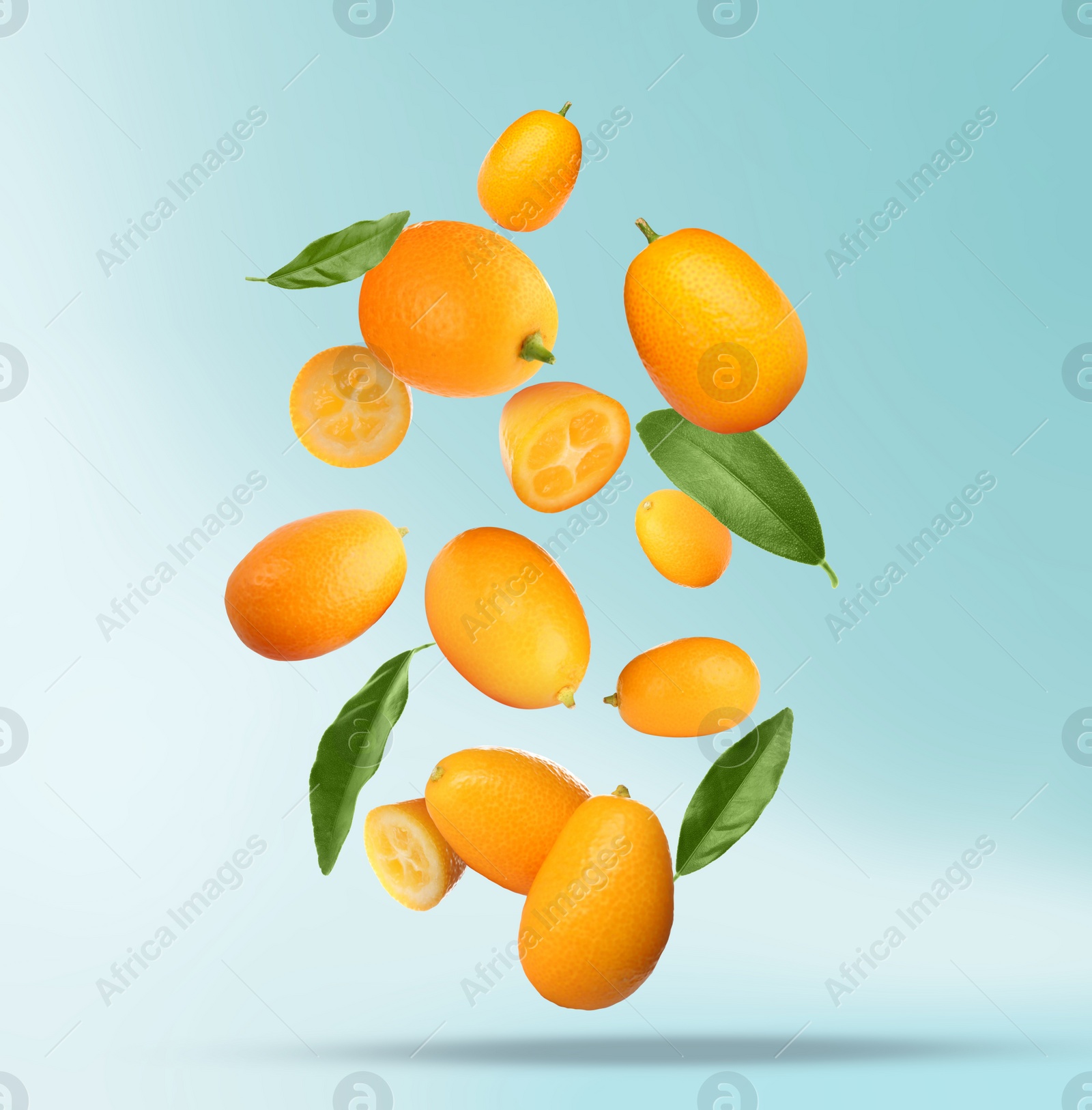 Image of Delicious fresh kumquats and green leaves falling on color background