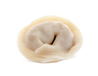 Photo of Tasty fresh boiled dumpling on white background