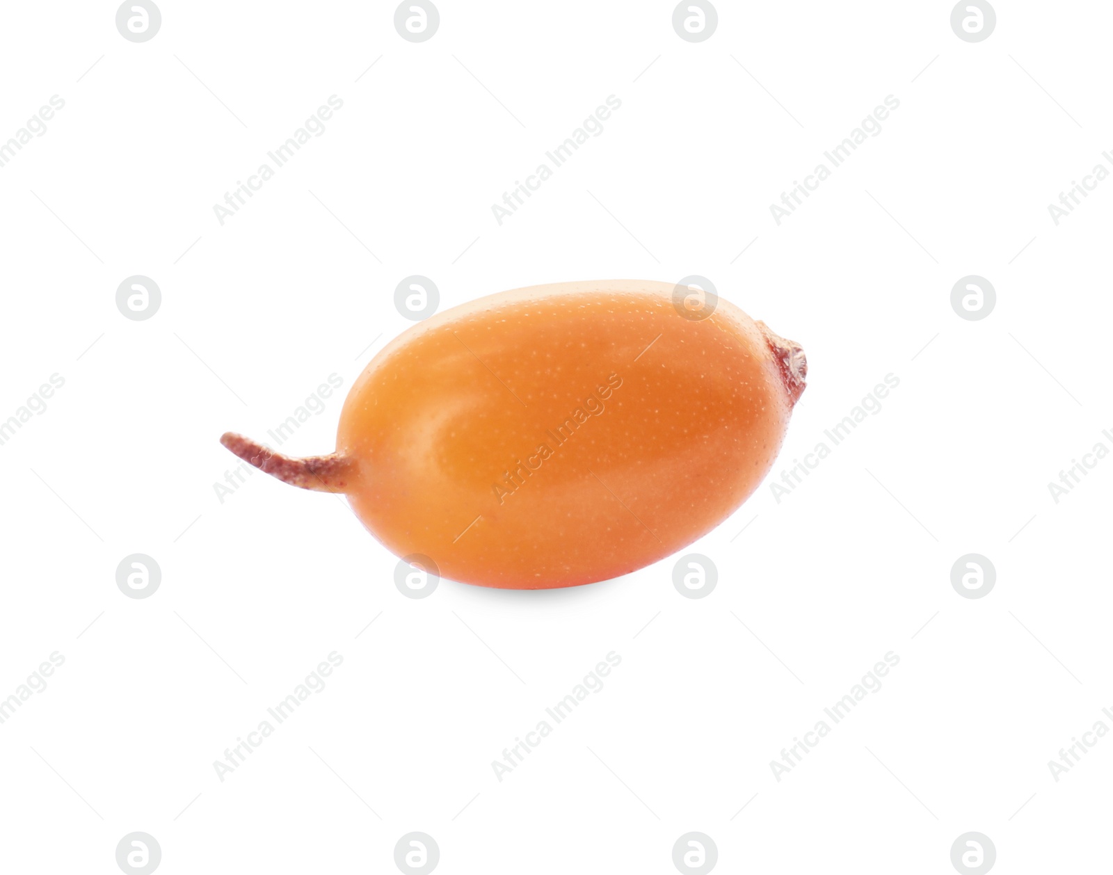 Photo of Fresh ripe sea buckthorn berry isolated on white