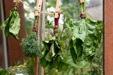 Photo of Bunchesfresh green herbs hanging on twine near window indoors
