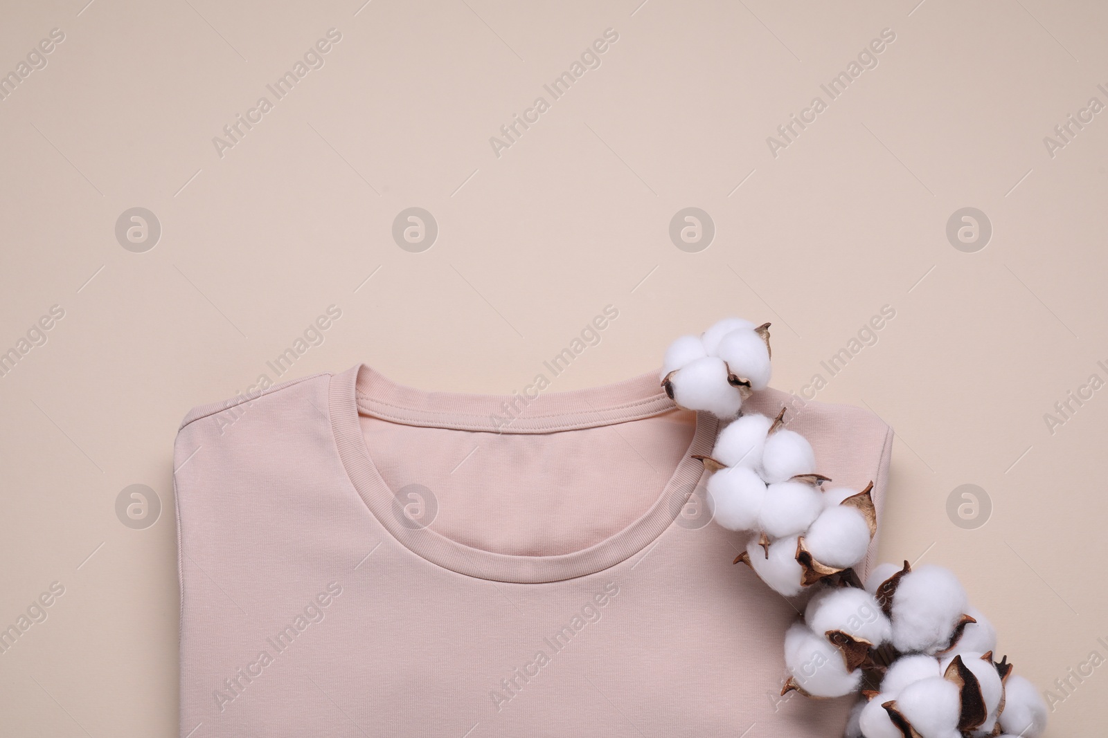 Photo of Cotton branch with fluffy flowers and t-shirt on beige background, top view. Space for text