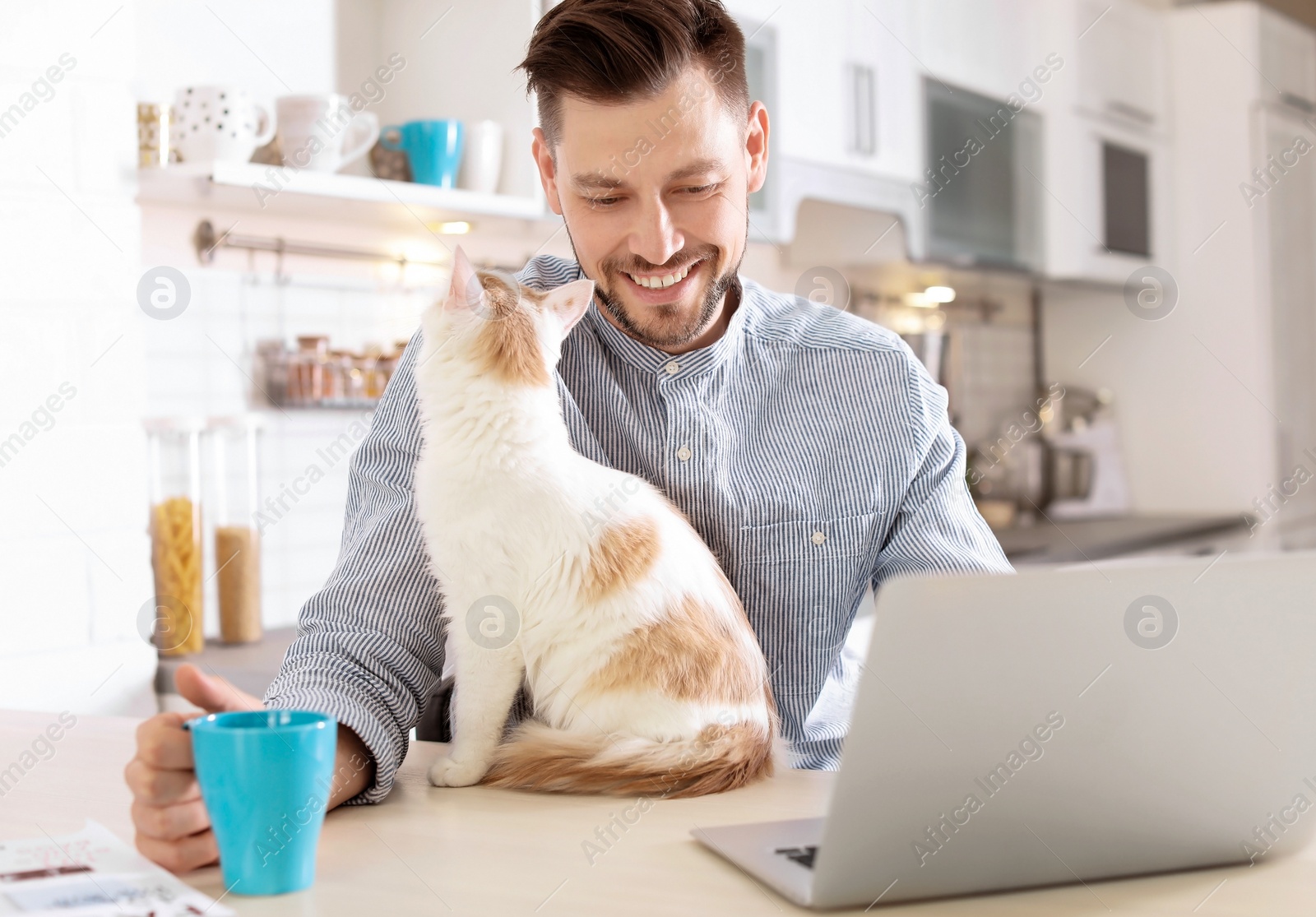 Photo of Young man with cute cat and laptop at home