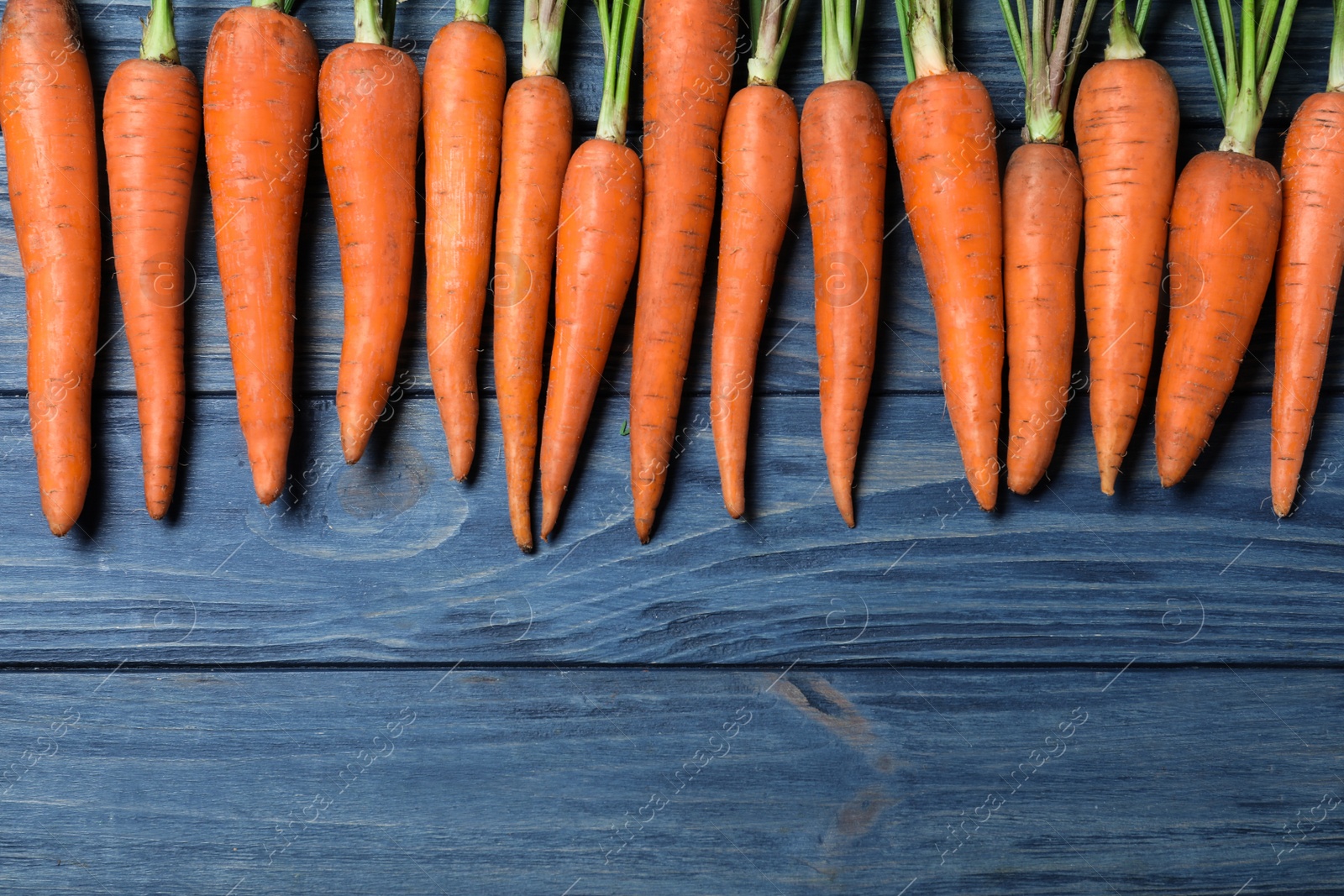 Photo of Ripe carrots on blue wooden table, flat lay