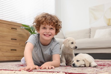 Photo of Little boy with cute puppies on carpet at home