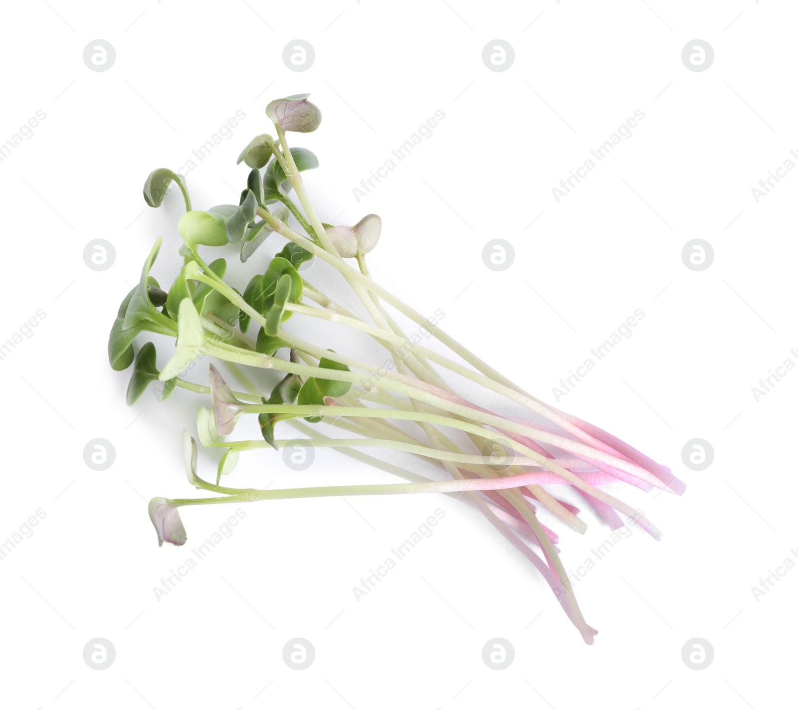 Photo of Fresh organic microgreen on white background, top view