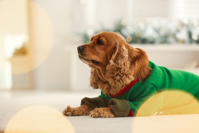 Adorable Cocker Spaniel in Christmas sweater on blurred background, space for text