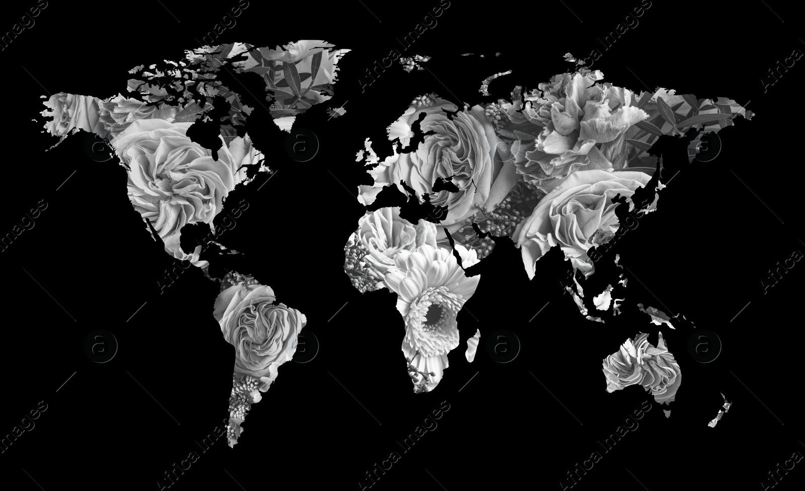 Image of World map made of beautiful flowers on black background, black and white effect. Banner design