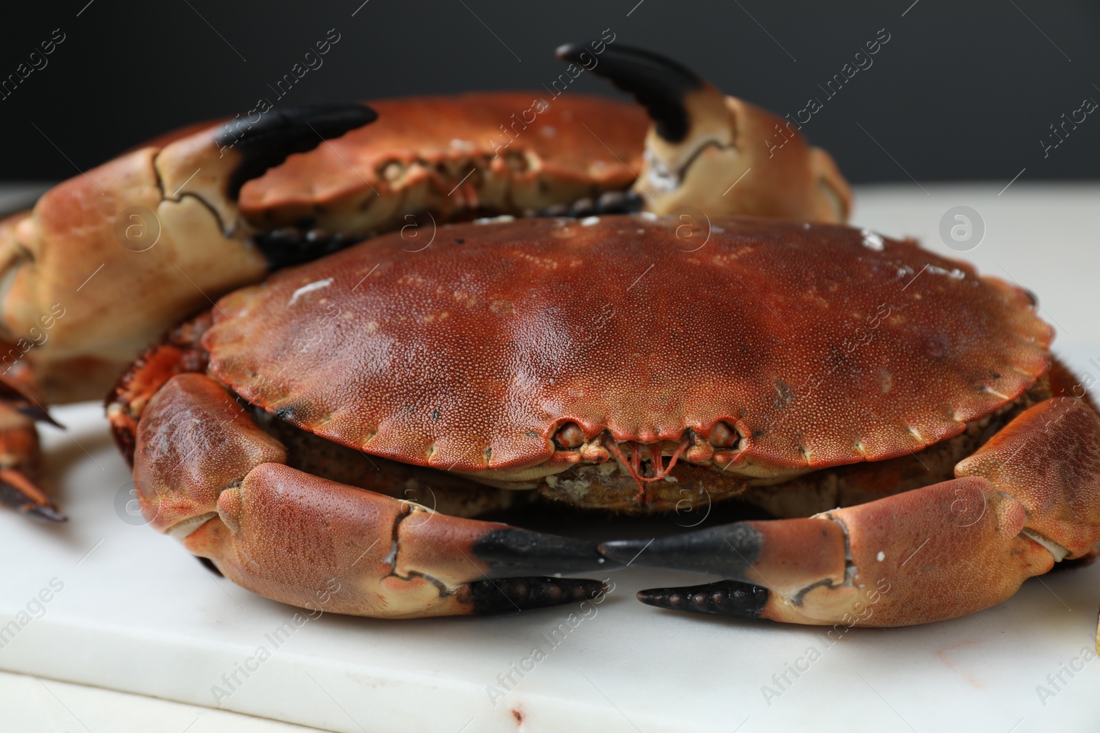 Photo of Delicious boiled crabs on white table, closeup