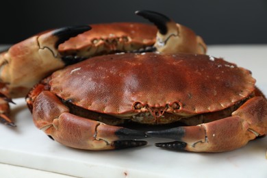 Photo of Delicious boiled crabs on white table, closeup