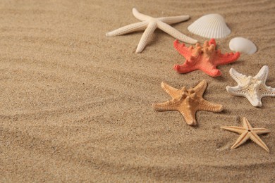 Beautiful sea stars and shells on sand, space for text