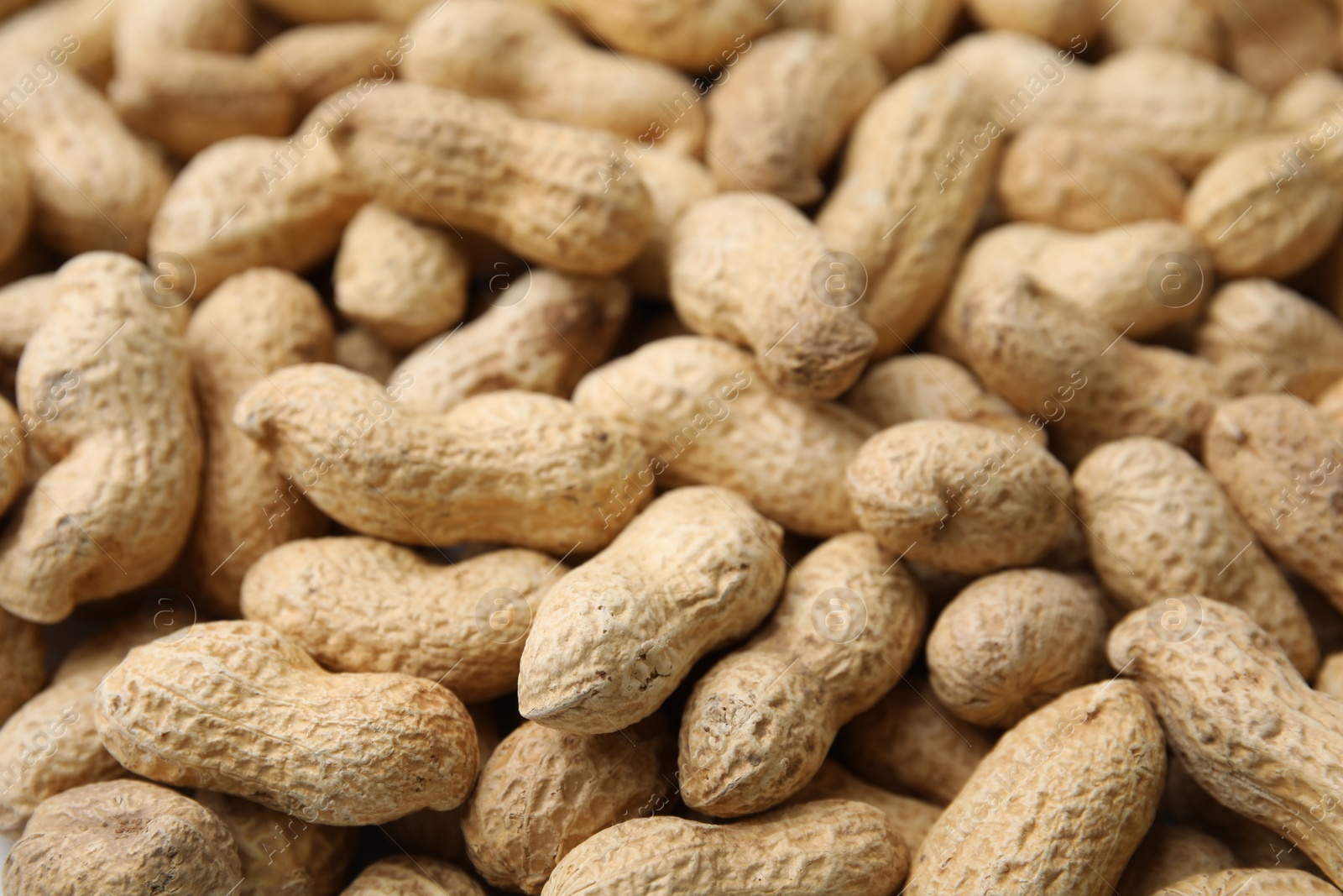 Photo of Many fresh unpeeled peanuts as background, closeup