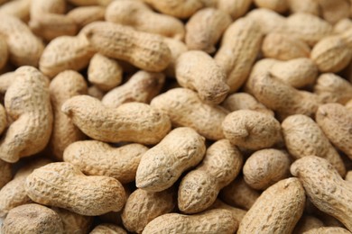 Many fresh unpeeled peanuts as background, closeup