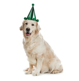 Image of Cute dog with party hat on white background
