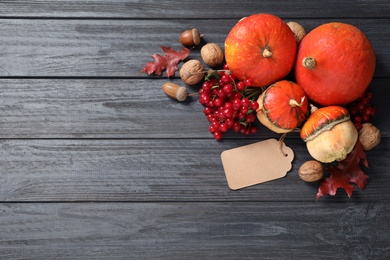 Photo of Flat lay composition with autumn vegetables and fruits on grey wooden background, space for text. Happy Thanksgiving day