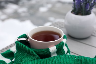 Photo of Winter morning. Cup with hot drink wrapped in green sweater outdoors, space for text