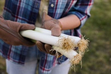 Woman holding fresh raw leeks outdoors, closeup