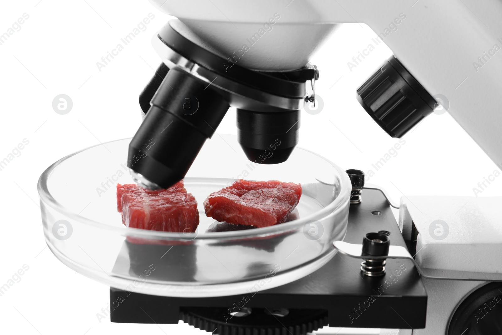 Photo of Petri dish with pieces of raw cultured meat under microscope on white background, closeup