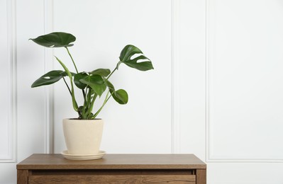 Photo of Potted monstera on wooden table near white wall, space for text. Beautiful houseplant