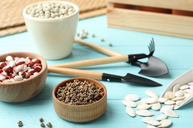 Photo of Different vegetable seeds and gardening tools on light blue wooden table
