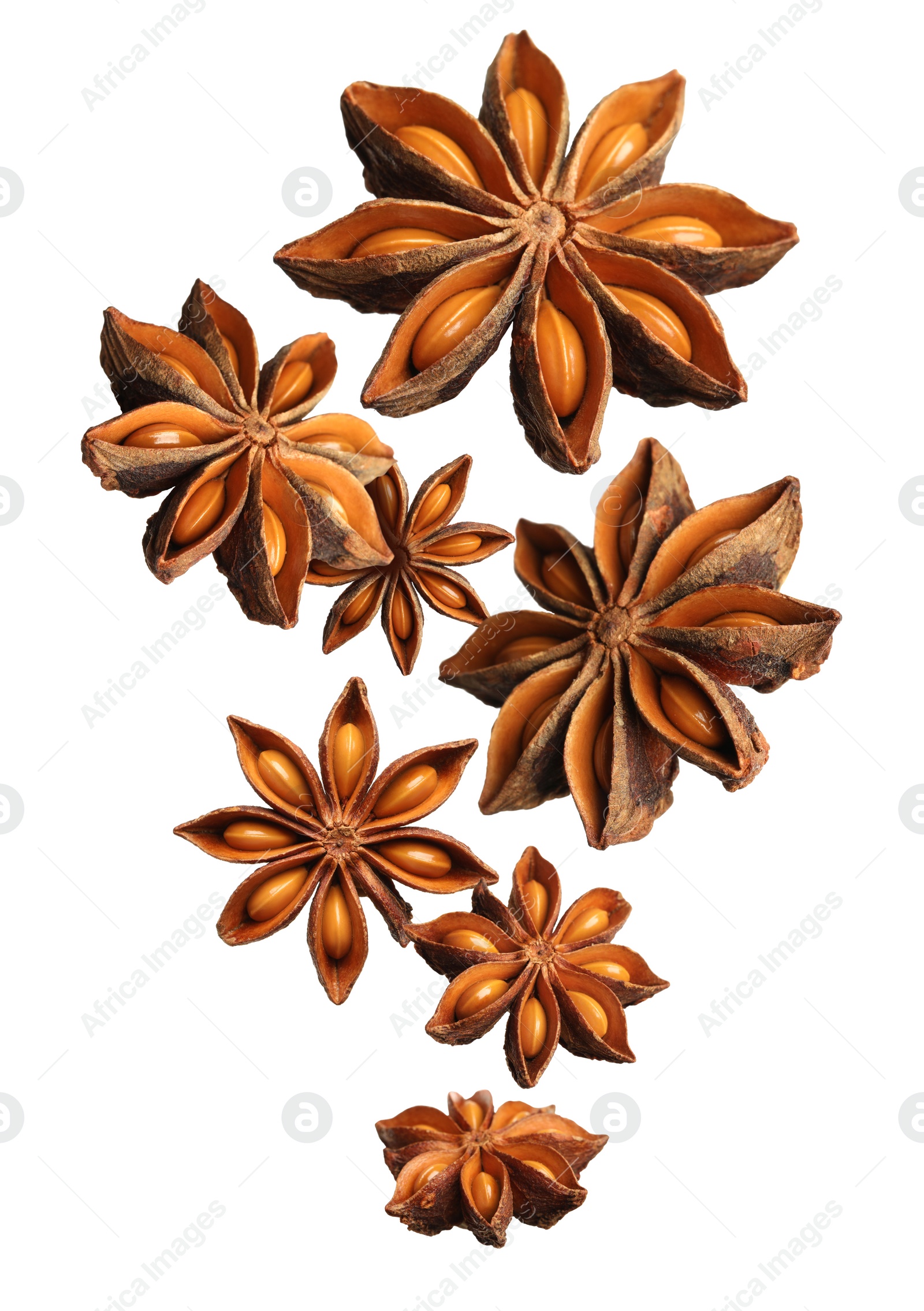 Image of Dry aromatic anise stars falling on white background