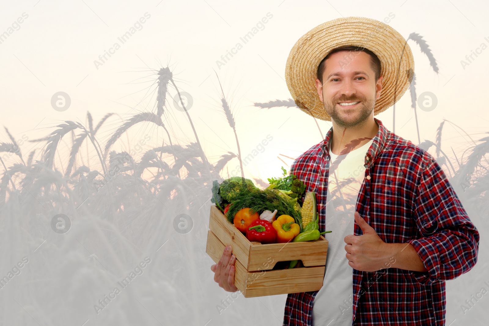 Image of Double exposure of happy farmer and wheat field. Space for text