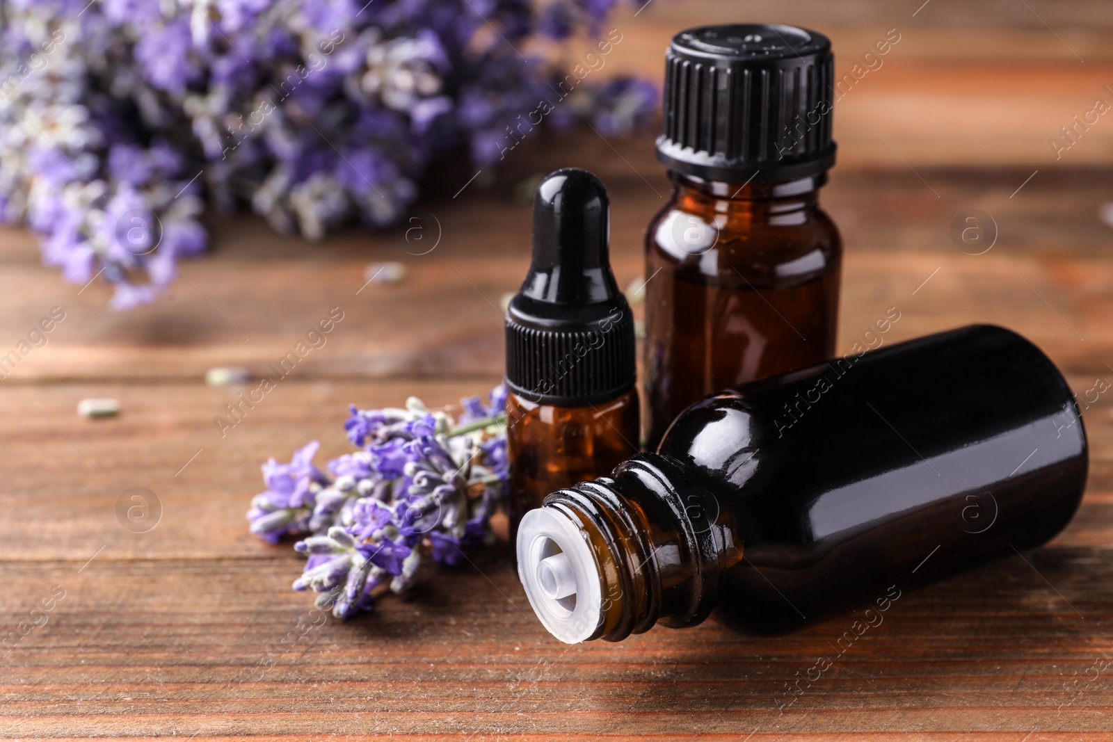 Photo of Bottles with natural lavender oil and flowers on wooden table, closeup view. Space for text