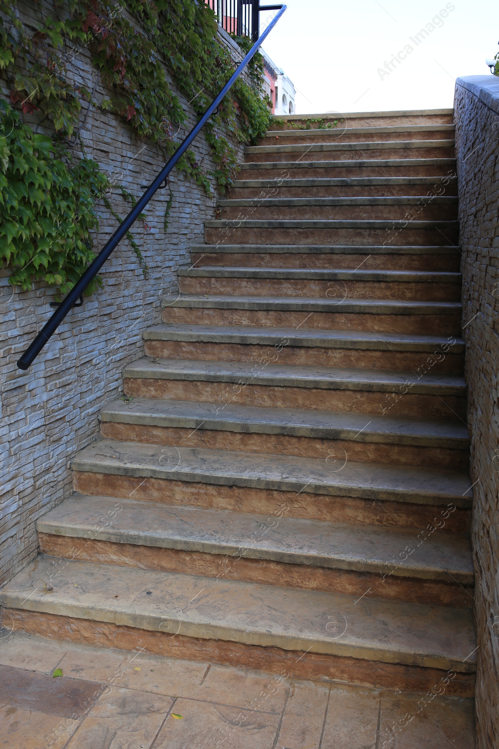 Photo of View of beautiful old stairs near brick wall with climber plant outdoors