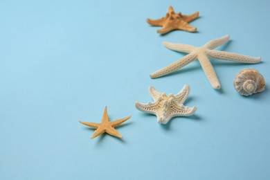 Photo of Beautiful starfishes and sea shell on light blue background. Space for text