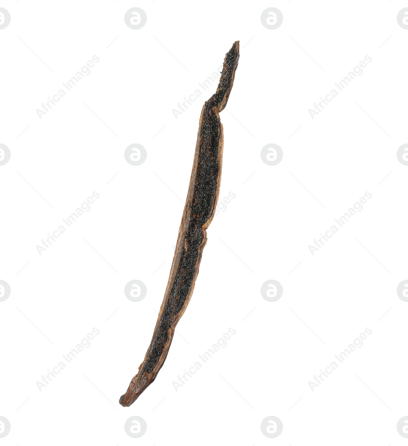 Photo of One aromatic vanilla pod isolated on white