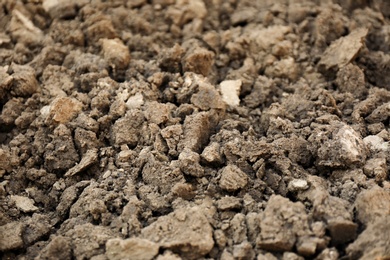 Photo of Textured ground surface as background, closeup. Fertile soil for farming and gardening