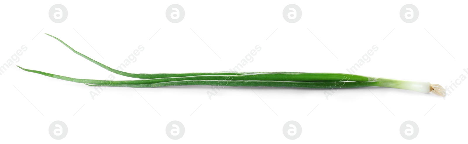 Photo of Fresh ripe green onion on white background