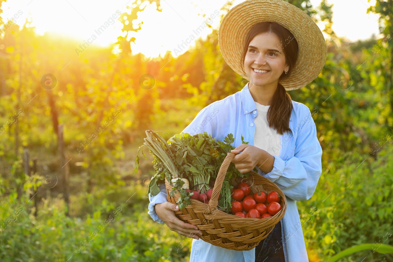 Photo of Woman with basket of different fresh ripe vegetables on farm. Space for text