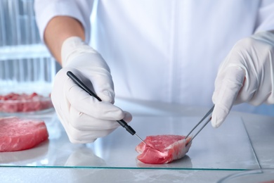 Photo of Scientist inspecting meat sample in laboratory, closeup. Food quality control