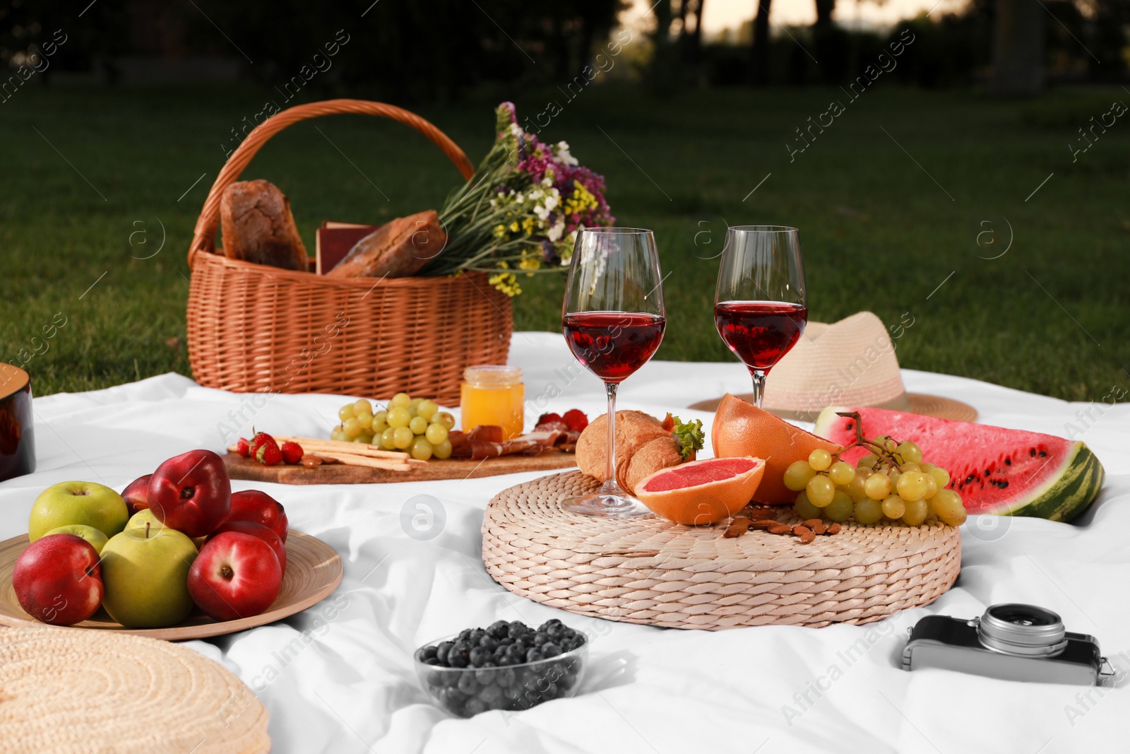 Photo of Delicious food and wine served for summer picnic on plaid in park