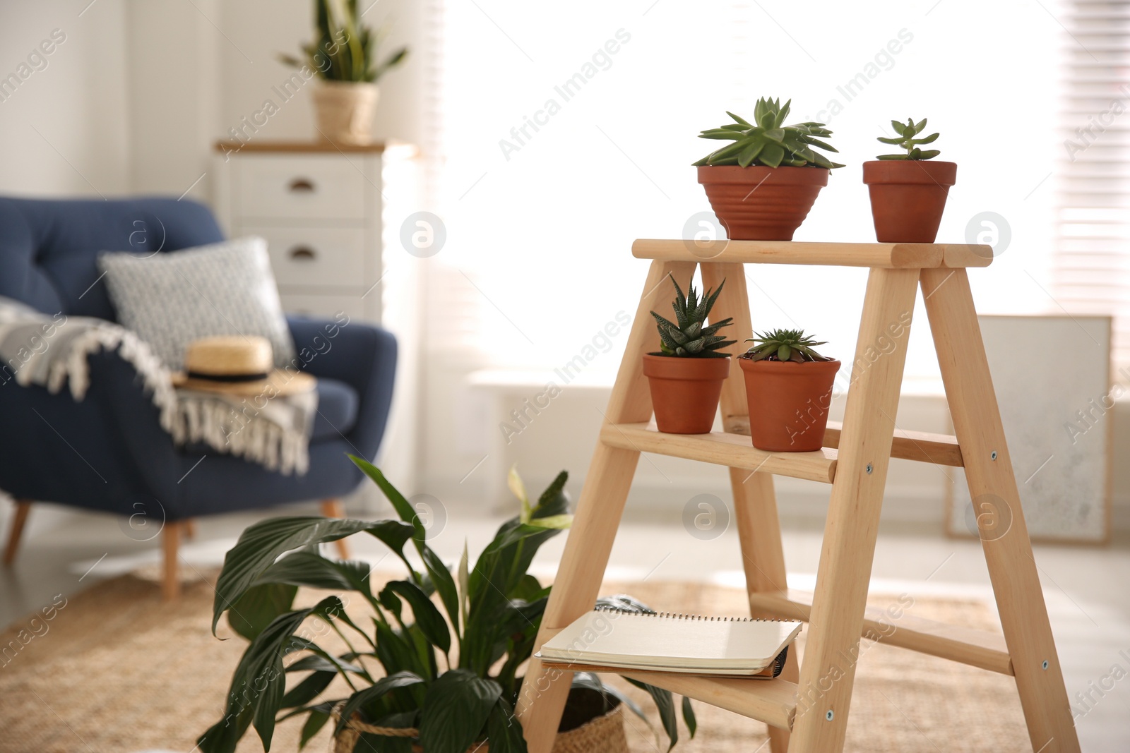 Photo of Stylish living room interior with wooden ladder and houseplants. Space for text