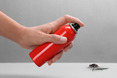 Woman spraying insect aerosol on fly against grey background, closeup