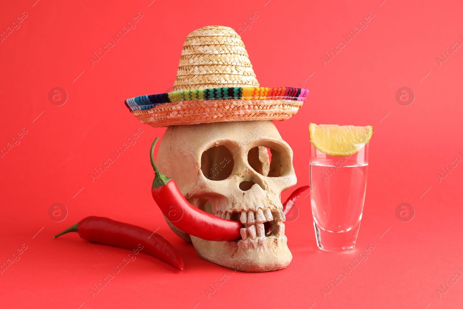 Photo of Human scull with Mexican sombrero hat, hot chili peppers and tequila on red background